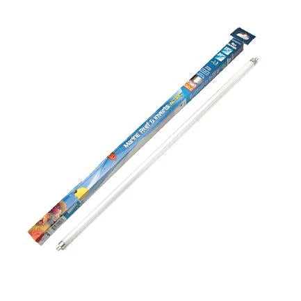 Interpet Marine Moonlight Blue T8 Tube 42″ 30w