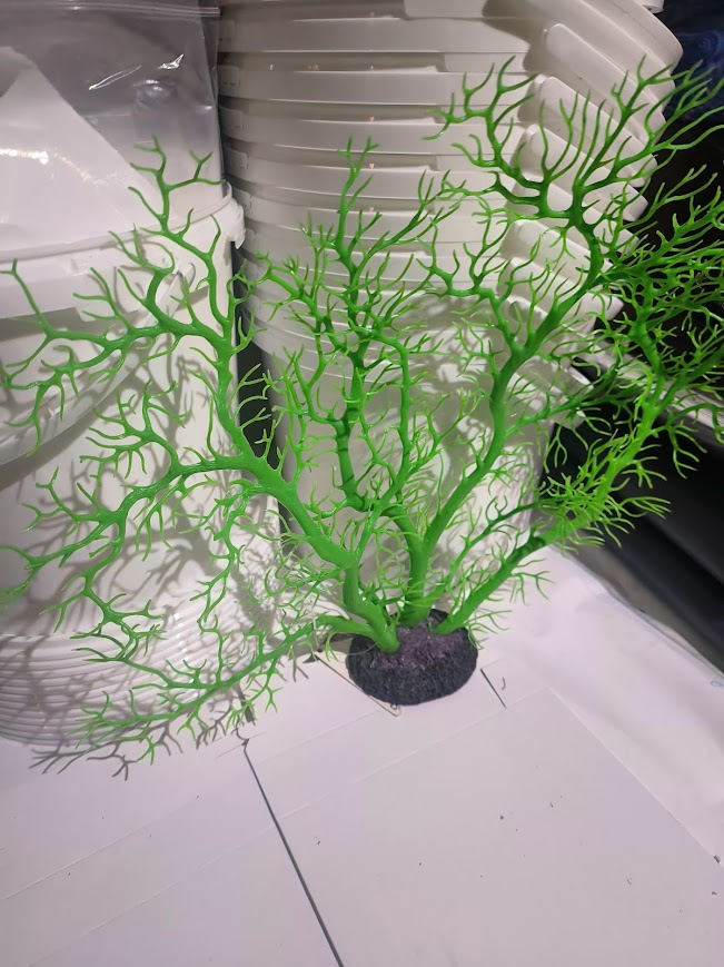 Sea Fan - Green - Artificial Coral