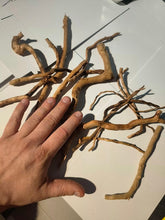 Load image into Gallery viewer, Azalea Wood  Twigs - Aquascaping TWIN PACK
