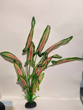 Load image into Gallery viewer, 50cm XL Tall Aquarium Plant - Realistic Artificial - Hugo Kamishi Zen A1
