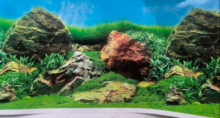 Rocks and plants aquascape background