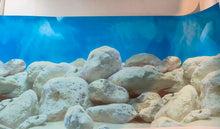 Load image into Gallery viewer, Large white pebbles pumice stone boulders aquarium background marine or coldwater freshwater tropical fish tank
