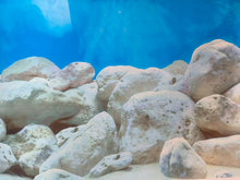 Load image into Gallery viewer, Aquarium Background - White Pebbles Ocean 12″ 30cm Height marine or tropical
