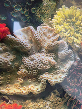 Load image into Gallery viewer, Fish Tank Background Poster &#39;Vintage Coral Garden&#39; 🪸 2ft 4ft 5ft
