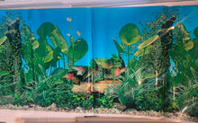 Load image into Gallery viewer, tropical plant jungle UK
