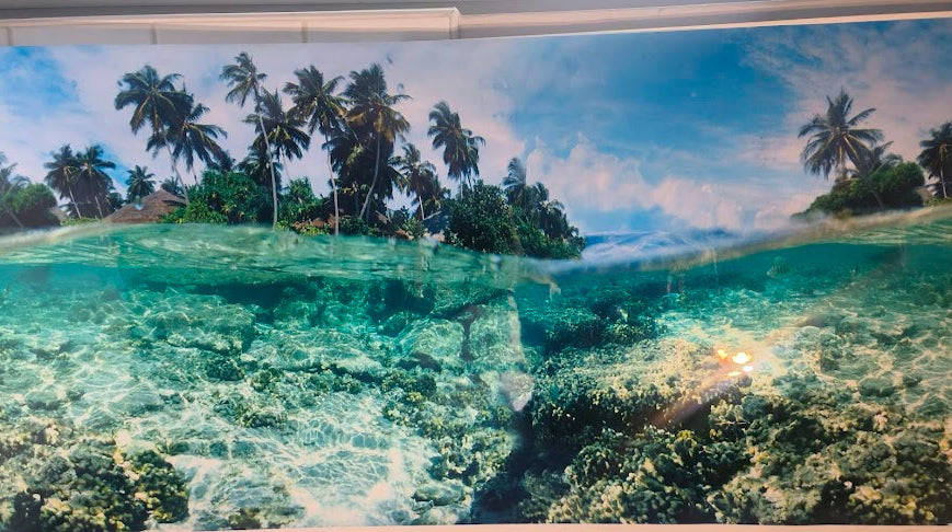 tropical reef background