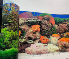 Load image into Gallery viewer, Anemone / Coral Garden Background 19″ tall choose fishtank width
