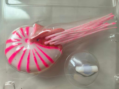 Nautilus model ornament rubber sculpture pink neon