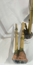 Load image into Gallery viewer, Realistic Bamboo *TWIN PACK -  2 QTY
