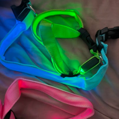 LED Dog collar flashing