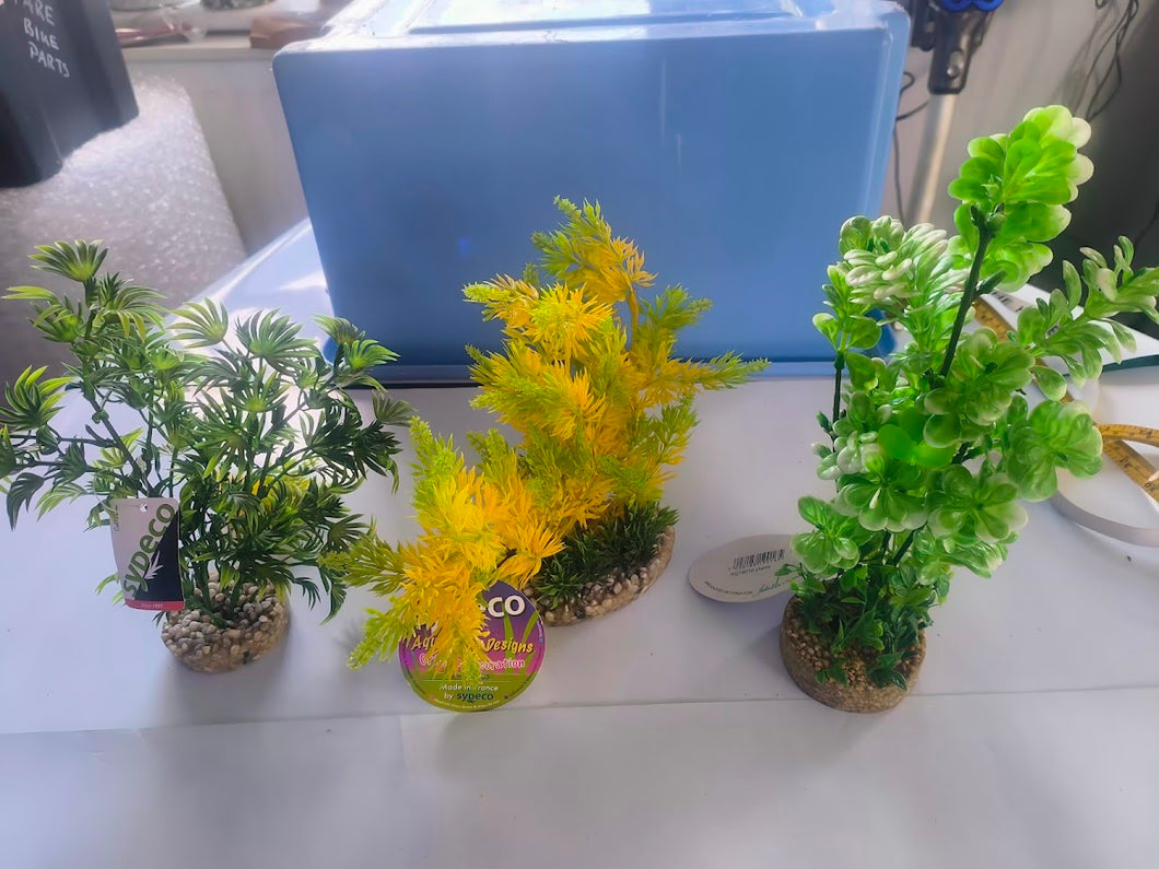 3 large tall aquarium plants - sydeco- tropical fish tank