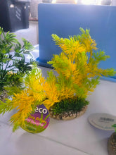 Load image into Gallery viewer, 3 large tall aquarium plants - sydeco- tropical fish tank

