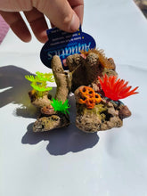Load image into Gallery viewer, Zoas mini coral garden rock NEW
