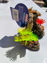 Load image into Gallery viewer, Zoas mini coral garden rock NEW

