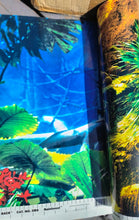 Load image into Gallery viewer, RAINFOREST VIN HUMID TERRARIUM PLANTS
