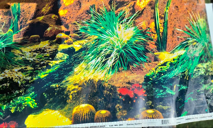 CACTI Background backdrop poster