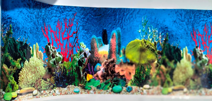 Coral Ocean Reef Marine Aquarium Background 1ft tall