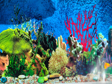 Load image into Gallery viewer, Coral Ocean Reef Marine Aquarium Background 1ft tall
