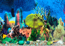 Load image into Gallery viewer, Coral Ocean Reef Marine Aquarium Background 1ft tall
