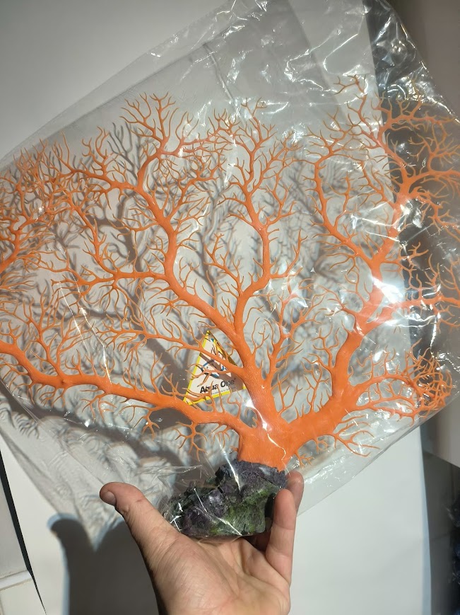 Sea Fan - Orange Gorgonian Large 60cm