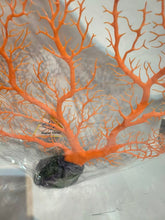 Load image into Gallery viewer, Sea Fan - Orange Gorgonian Large 60cm
