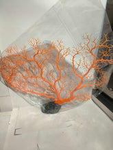 Load image into Gallery viewer, Sea Fan - Orange Gorgonian Large 60cm
