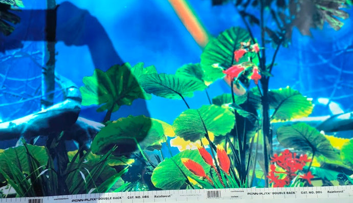 RAINFOREST VIVARIUM BACKDROP