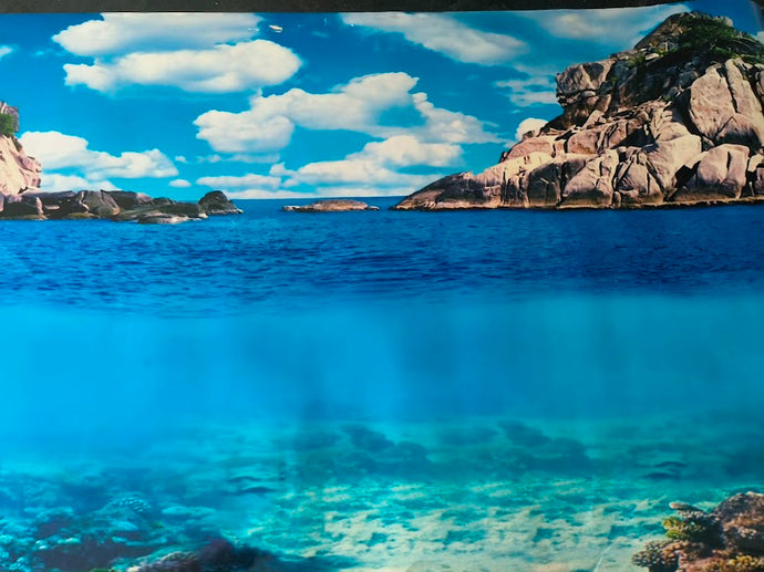 coral_reef_island_poster