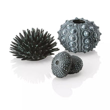 Load image into Gallery viewer, biOrb® Sea Urchins
