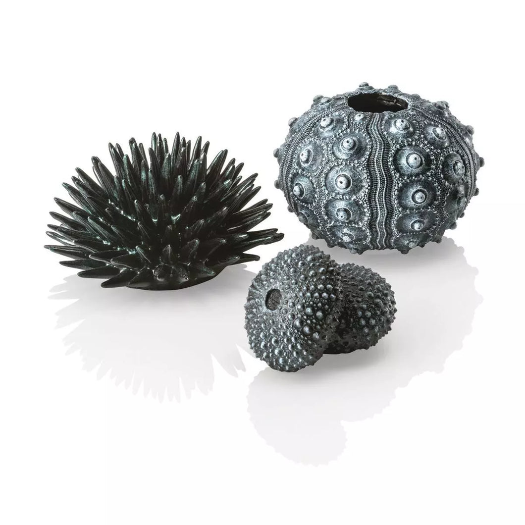 biOrb® Sea Urchins