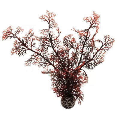 Dimensions (L x W x H): 17cm x 4cm x 40cm
Genuine Oase BiOrb decor
Artificial aquarium plants
Suitable for all aquariums.
Weighted base so they don't float